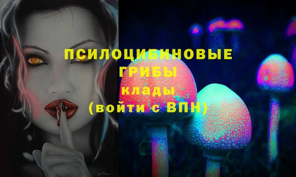метадон Богородицк