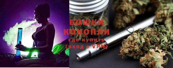 сатива Снежногорск